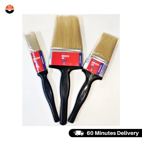Asian Paints TruCare Brush