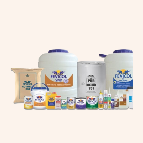 Fevicol & Gums